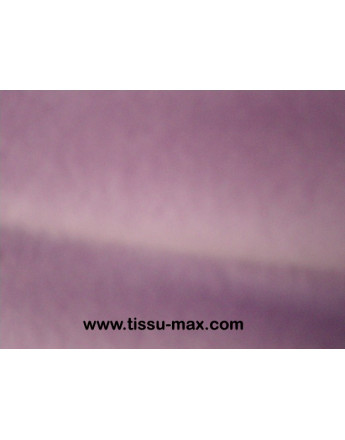 Tissu Polaire Violet