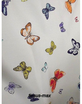 bachette papillon