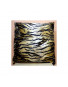 Coussin Tigre 98 40 x 40