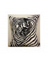 Coussin Zebre 95 40 x 40