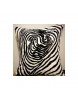 Coussin Zebre 95 40 x 40