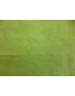 Tissu Coton Brodé Vert Anis