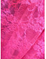 Dentelle Lycra Fushia 