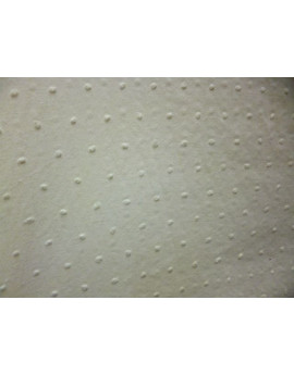 Tissu Coton Plumetis Blanc Cassé 