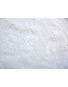 Tissu Coton Plumetis Brodé 02 Blanc 
