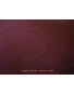 Tissu Velours Ascoli A027