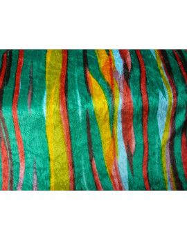 Panne de Velours Multicolore 01